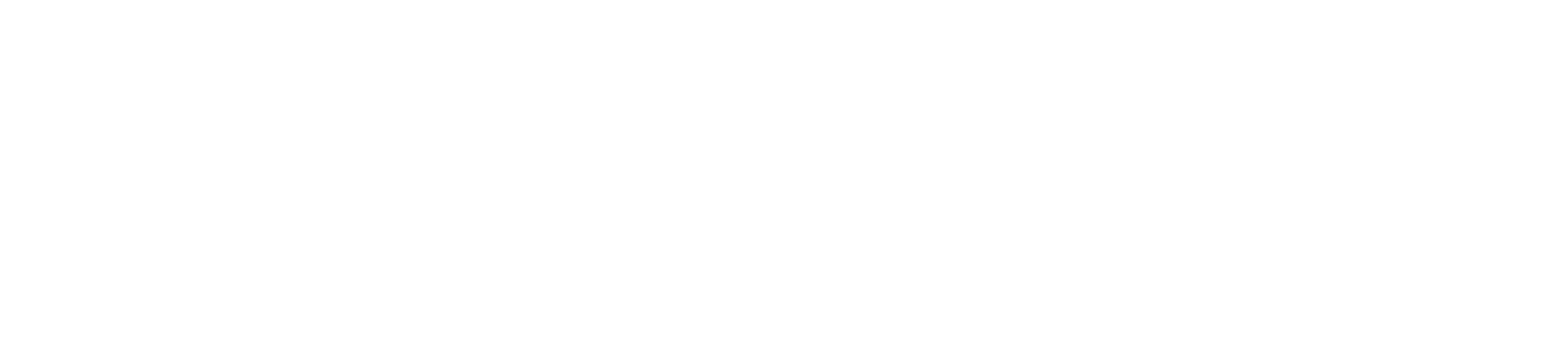 DiscoLike